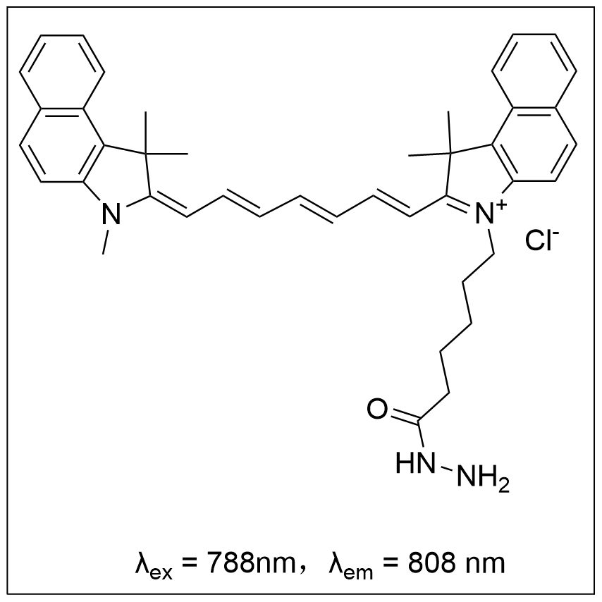 花菁染料 Cy7.5 hydrazide