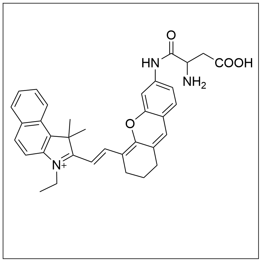 天冬氨酰氨基肽酶(DNPEP)荧光探针