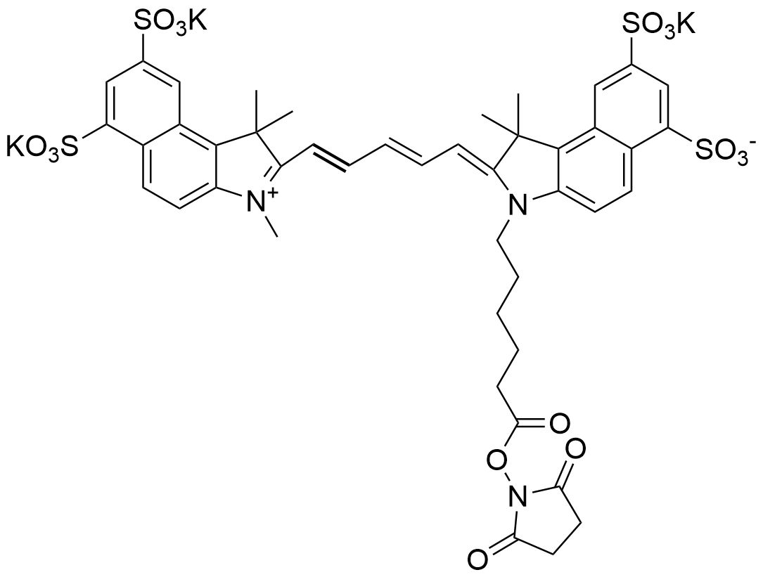 磺酸花菁染料 Sulfo Cy5.5 NHS ester