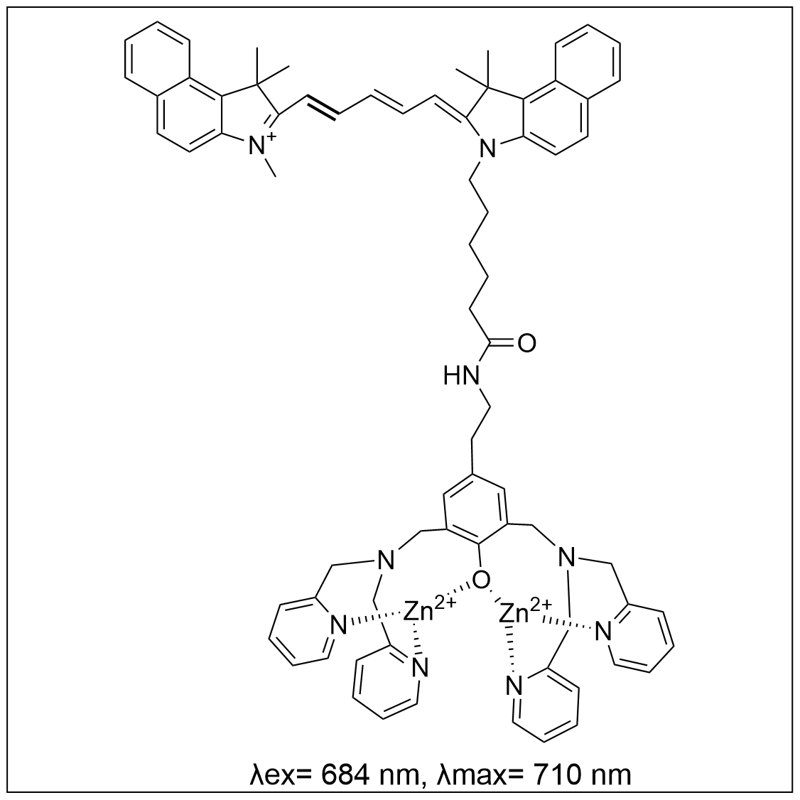 凋亡靶向荧光探针ZnDPA-Cy5.5